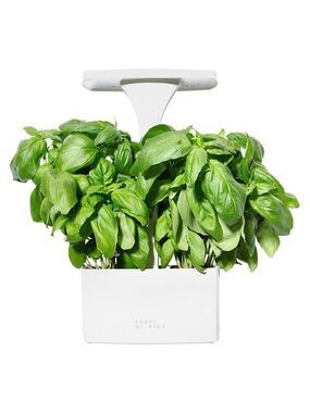 Short Stories LED Indoor Planter